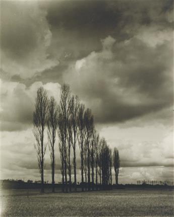 JOSEF SUDEK (1896-1976) Landscape along Elbe River * Two trees.
